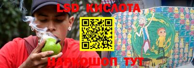 прущие крисы Кингисепп