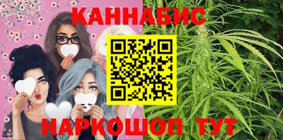 прущие крисы Кингисепп