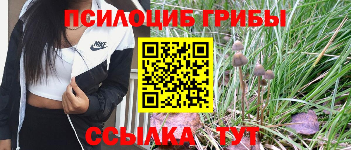 Галлюциногенные грибы MAGIC MUSHROOMS  Вход с VPN  Камышлов 