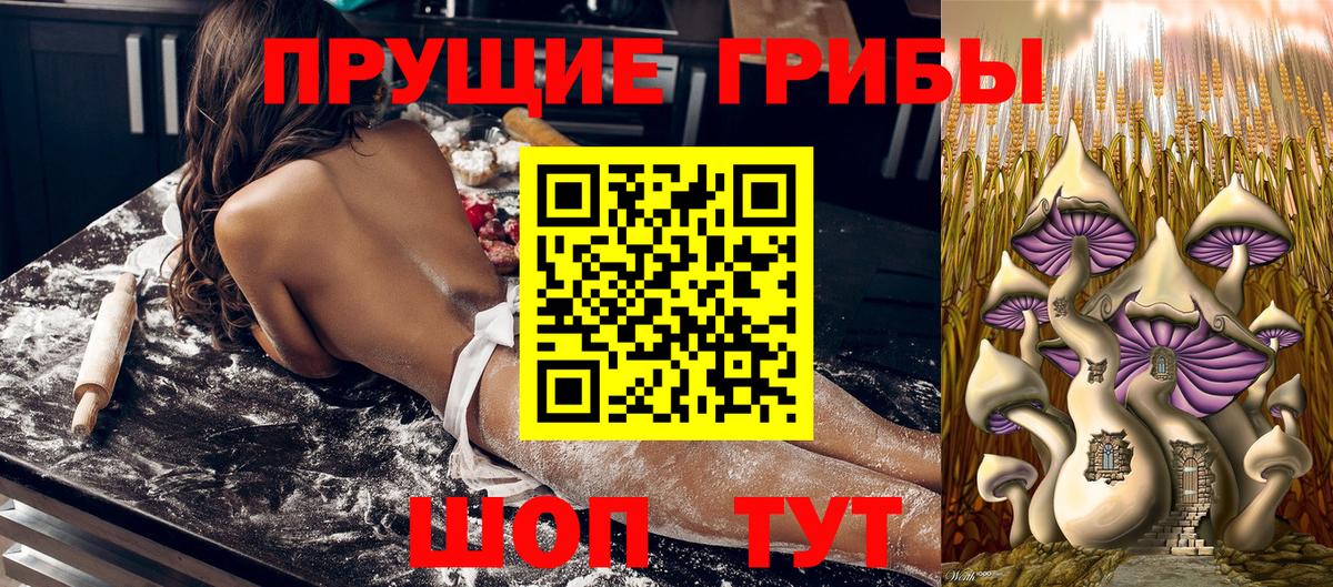 Галлюциногенные грибы Cubensis Камышлов